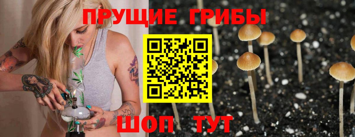 Псилоцибиновые грибы Psilocybine cubensis Скопин