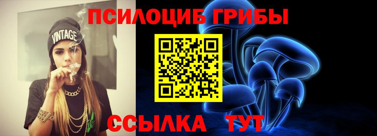 Скопин  Псилоцибиновые грибы MAGIC MUSHROOMS  Вход с VPN 